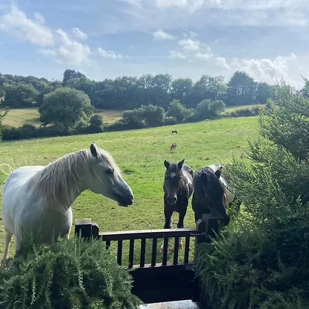 Hunters Moon Holiday home St Austell